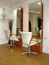 ARENA Hairdressing 303541 Image 2