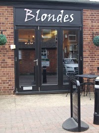 Blondes hairdressers 320456 Image 1