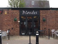 Blondes hairdressers 320456 Image 2