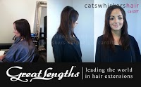 Cats Whiskers Hair Salon 318458 Image 1