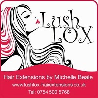 Lush Lox Hair Extensions 315231 Image 0