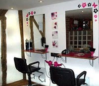 Magenta Hair Studio 318294 Image 1
