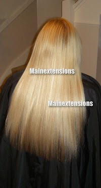 Mainextensions 311287 Image 1