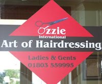Ozzies International Art of Hairdressing 301633 Image 1