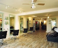 The Hair Gallery 315779 Image 0