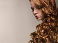 VIP Mobile hair Extensions and Beauty services 310255 Image 1