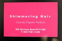 shimmering hair 312170 Image 6