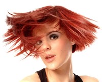 Adrian Clucas Hairdressing 306023 Image 2