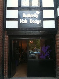Butterfly Hair Design 300909 Image 2