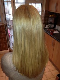 Carlys Hair Extensions 298779 Image 3