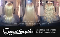 Cats Whiskers Hair Salon 318458 Image 3