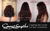 Cats Whiskers Hair Salon 318458 Image 4
