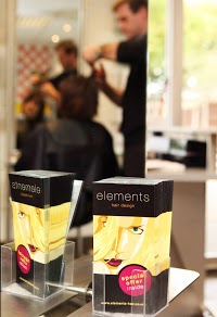 Elements Hair Design 298589 Image 1