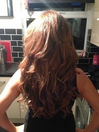 Hair Extensions by Nicki   Mobile Hairdresser 302872 Image 3