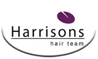 Harrisons Hair Team 326076 Image 9