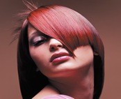 Innovations Unisex Hair and Beauty 320888 Image 1