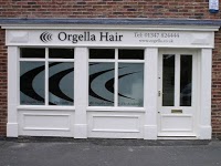 Orgella Hair and Beauty 294471 Image 0