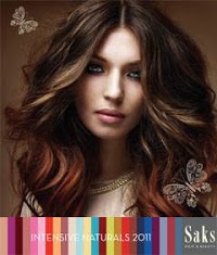 Saks Hairdressing 326605 Image 6