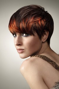 The Final Cut Hairdressing 291528 Image 1