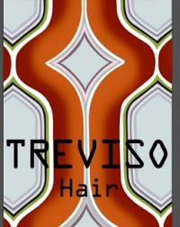 Treviso Hair 320944 Image 1