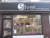 silver hairdressers 321787 Image 0